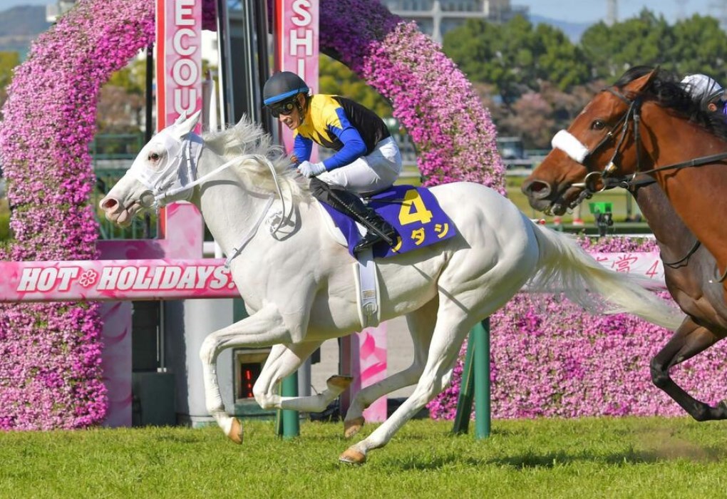 桜花賞2021レース回顧！ソダシ無敗で桜制覇！ | 浅次郎のどんぶり競馬2